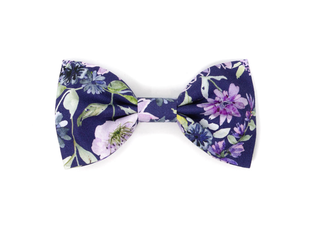The Aelin Bowtie