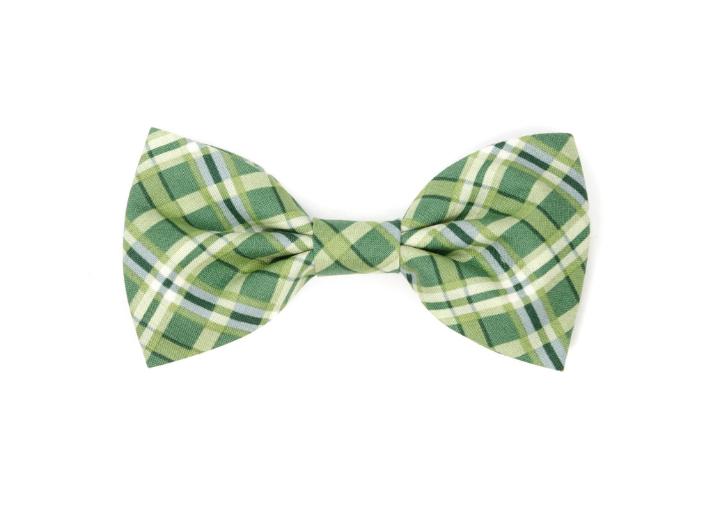 The Belmont Bowtie