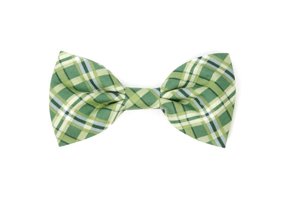 The Belmont Bowtie
