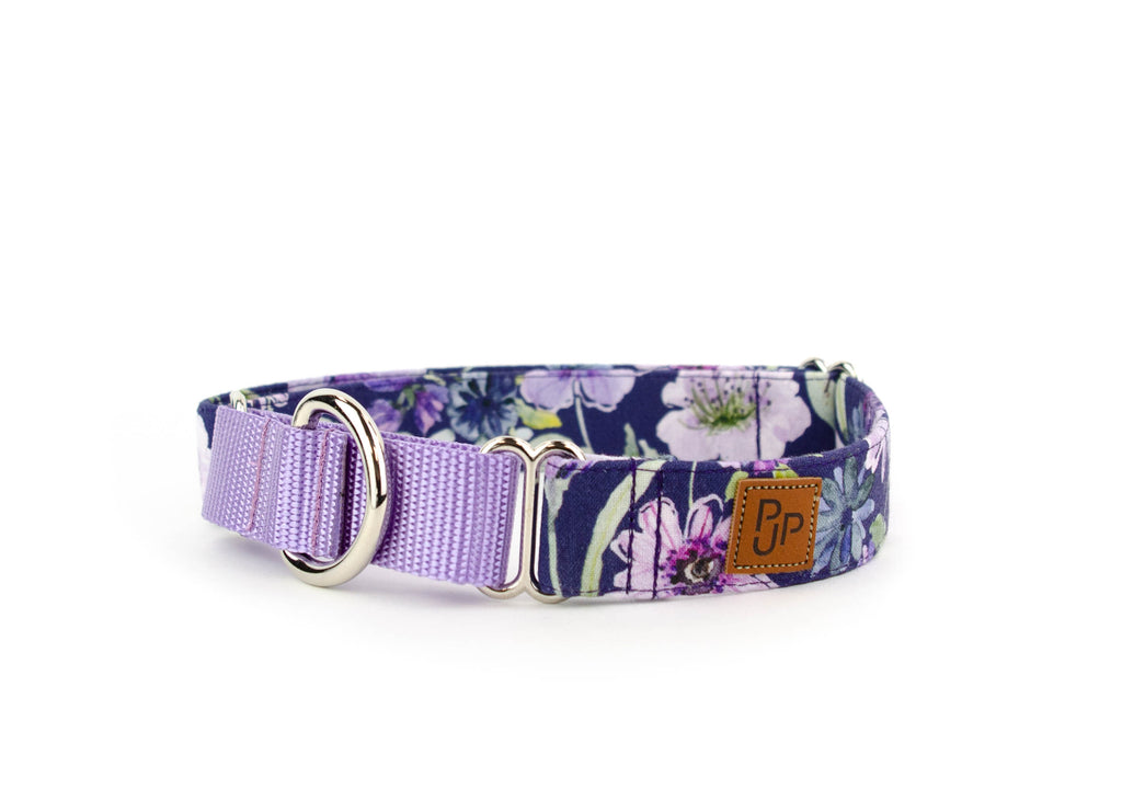 The Aelin Martingale