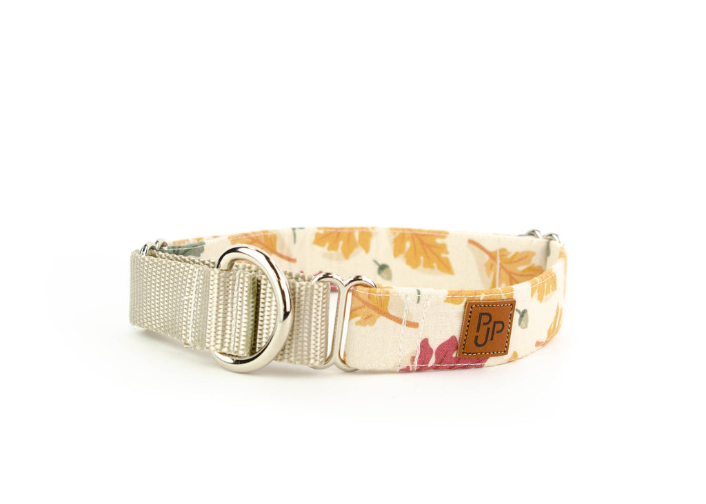 The Blaze Martingale