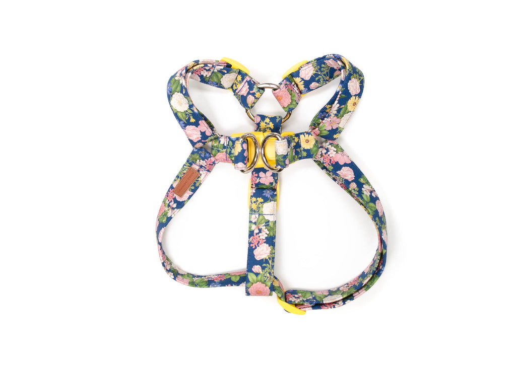 The Emerie Harness
