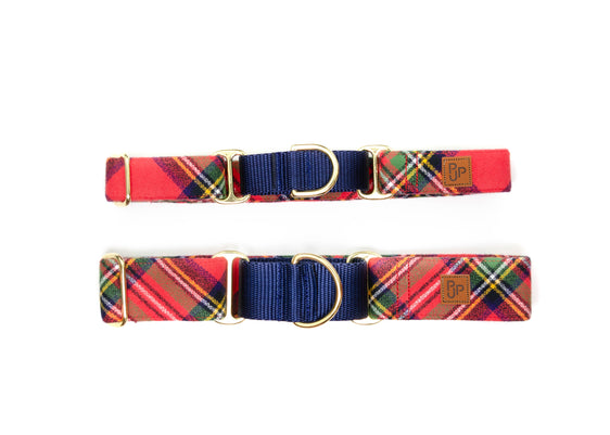 The Aspen Martingale