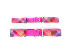 The Glamping Martingale