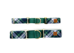 The Denali Martingale