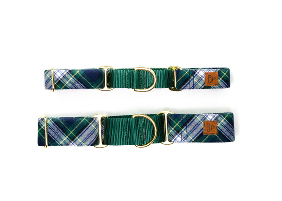 The Denali Martingale