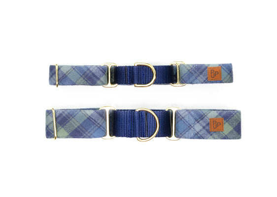 The Everglades Martingale