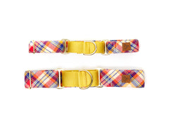 The Yellowstone Martingale