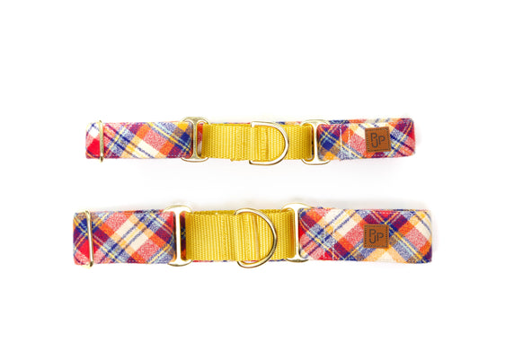 The Yellowstone Martingale