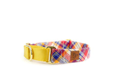The Yellowstone Martingale