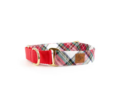 The Glacier Bay Martingale