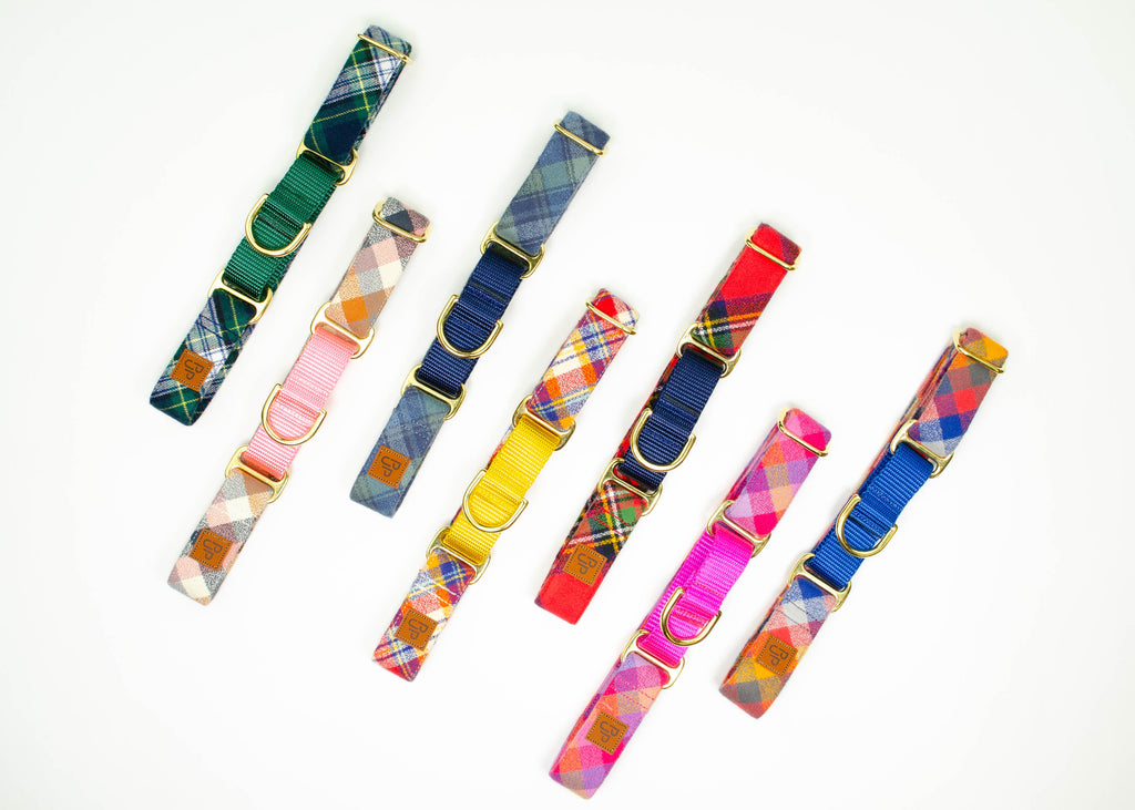 The Glacier Bay Martingale