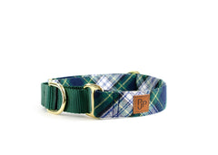 The Denali Martingale