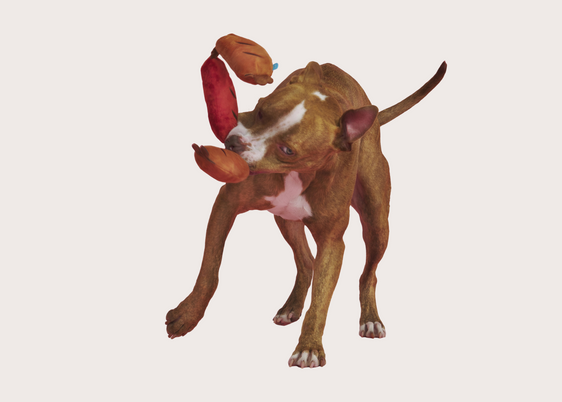 Lickin' Links Toy