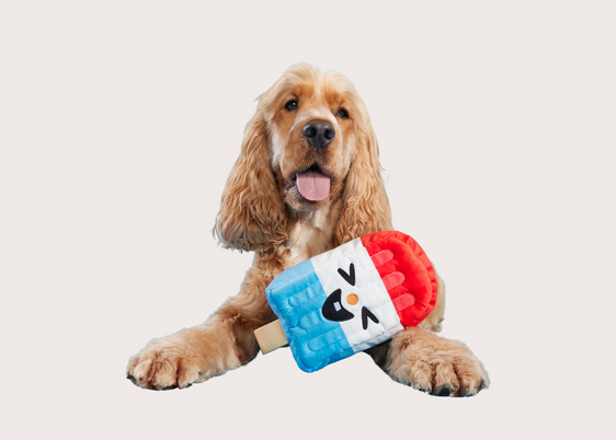 Droolsicle Toy