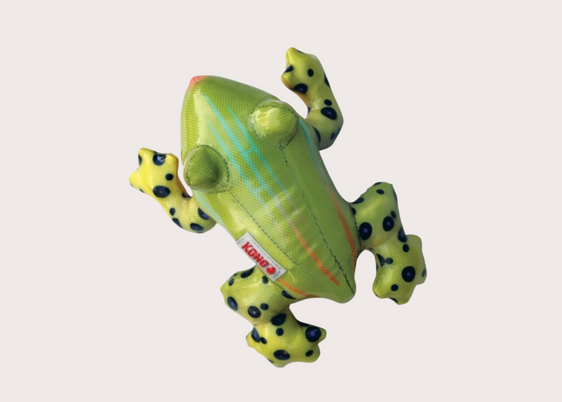 Frog Chew Toy