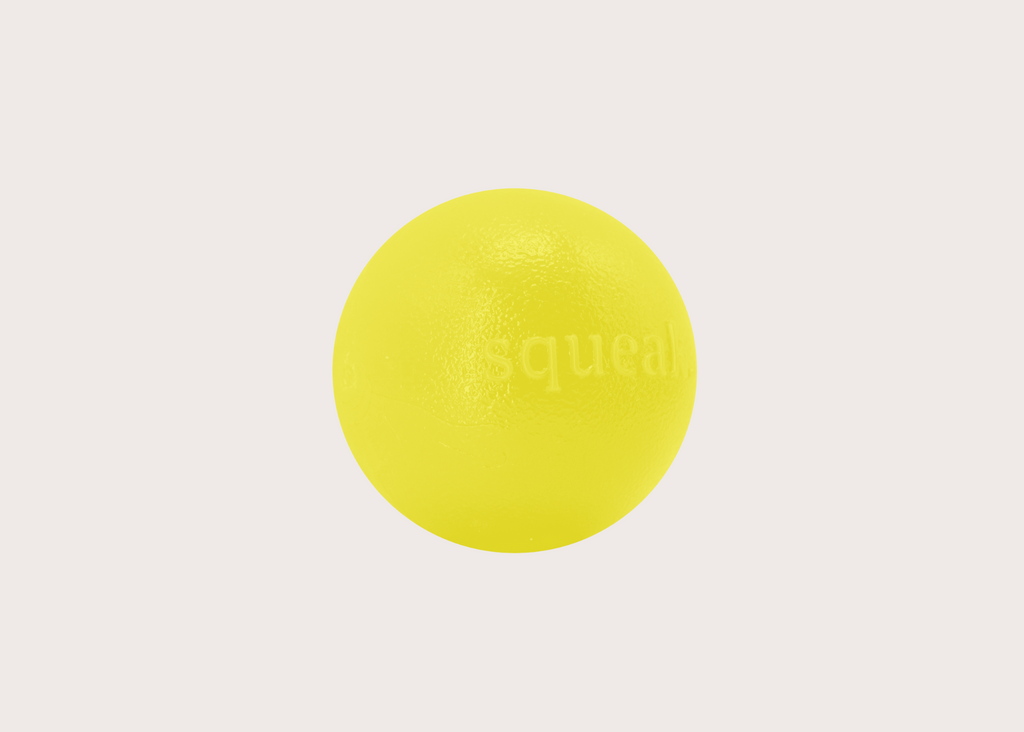 Orbee-Tuff Squeak Durable Fetch Ball