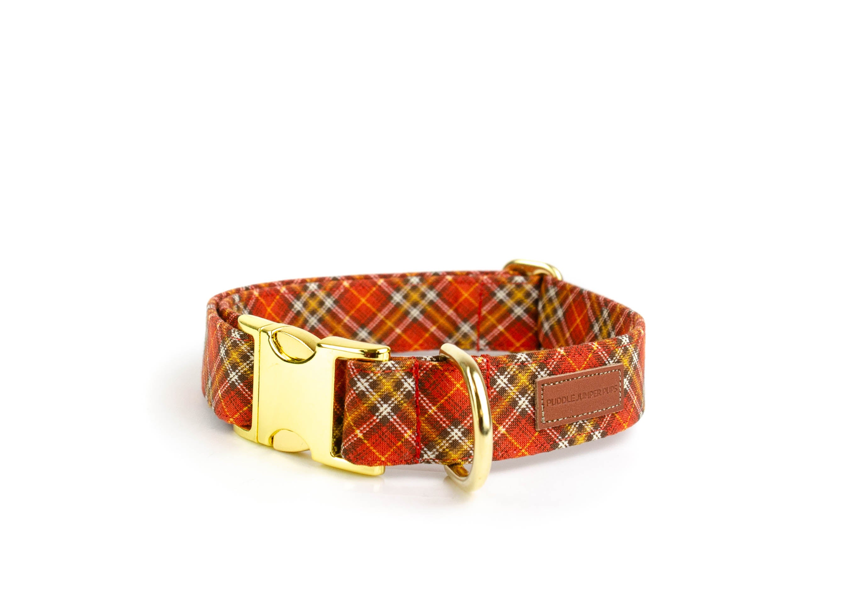 The Walker Collar – PuddleJumperPups