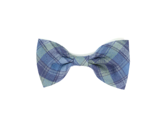 The Everglades Gentleman Bow