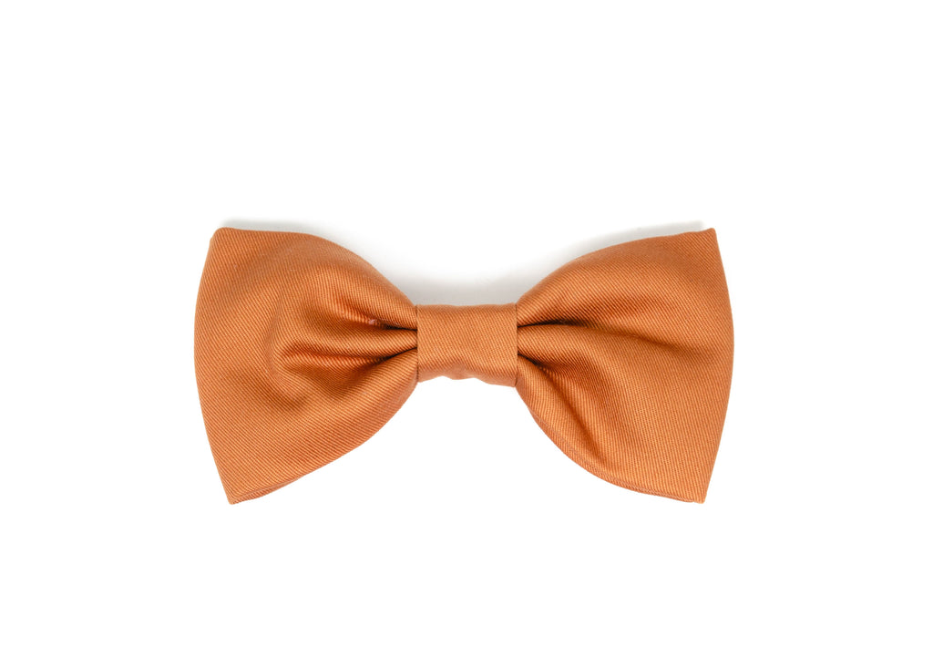 Signature Gentleman Bow -Sable