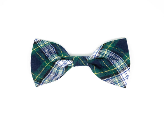 The Denali Gentleman Bow