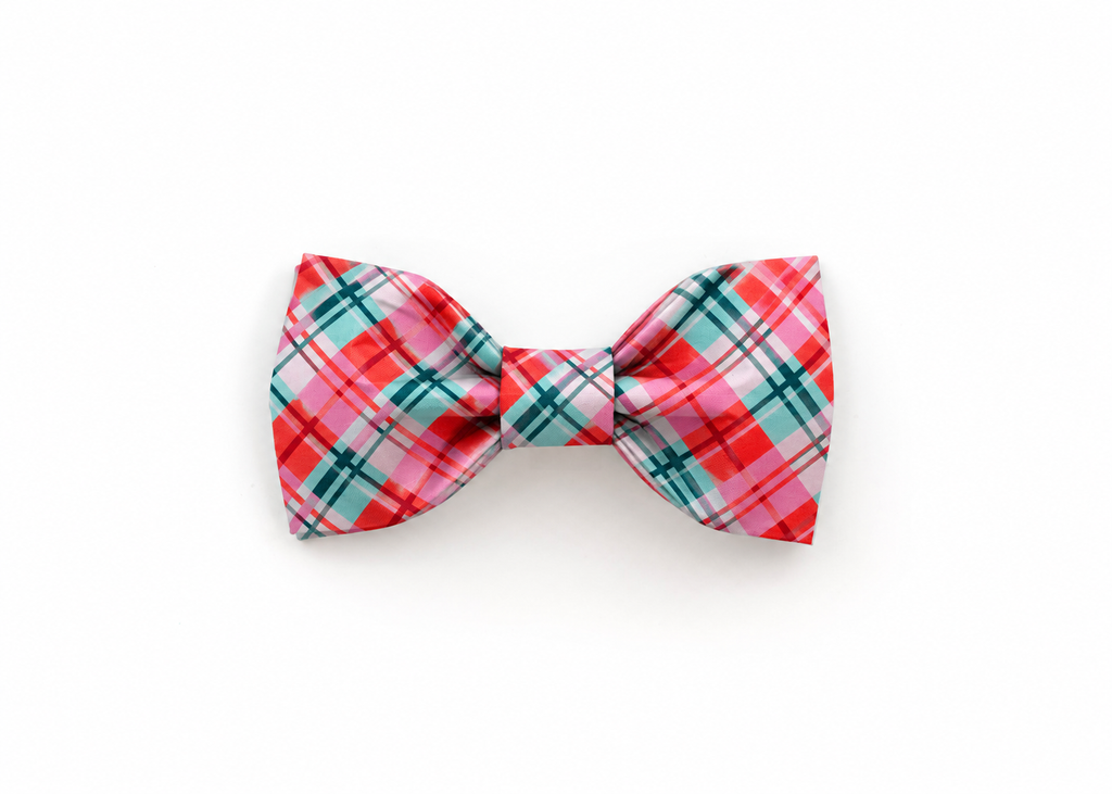 The Nova Bowtie