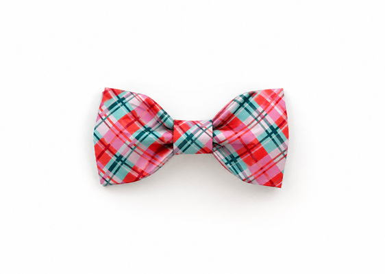 The Nova Bowtie