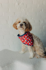 The Liberty Bandana