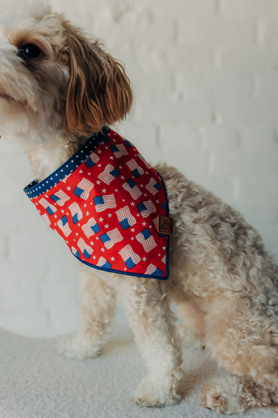 The Liberty Bandana