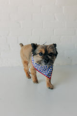 The Patriotic Swirl Bandana