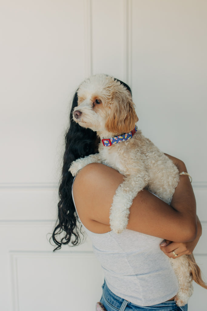The Patriotic Swirl Collar