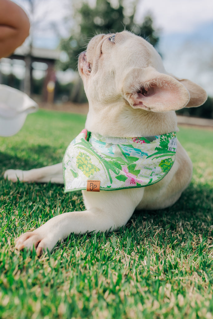 The Clubhouse Bandana