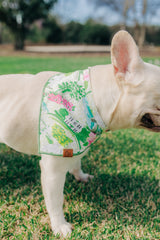 The Clubhouse Bandana