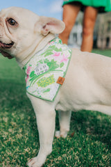The Clubhouse Bandana