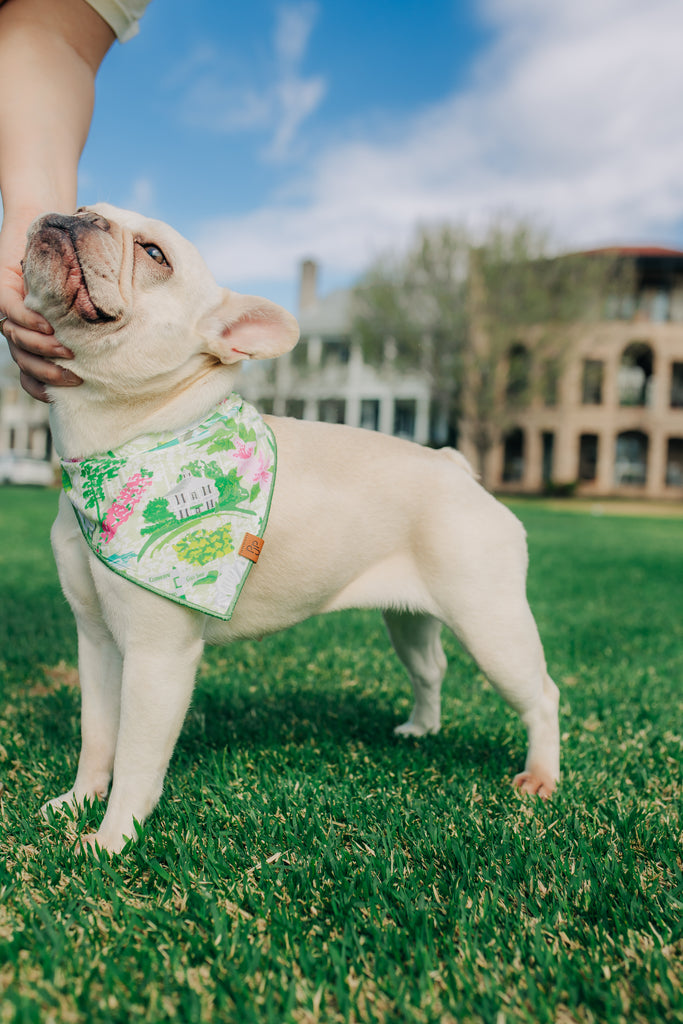 The Clubhouse Bandana