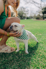 The Birdie Bandana