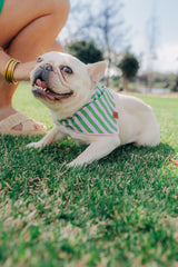 The Birdie Bandana