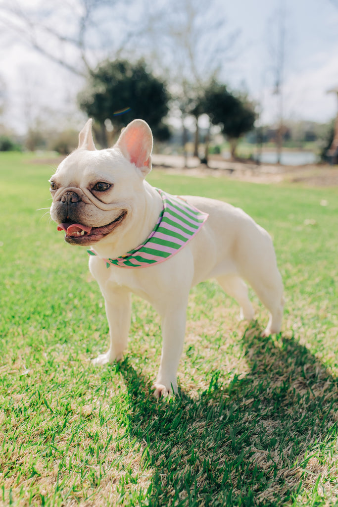 The Birdie Bandana