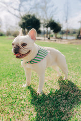 The Birdie Bandana