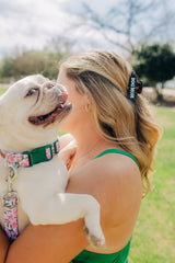 The Camellia Collar