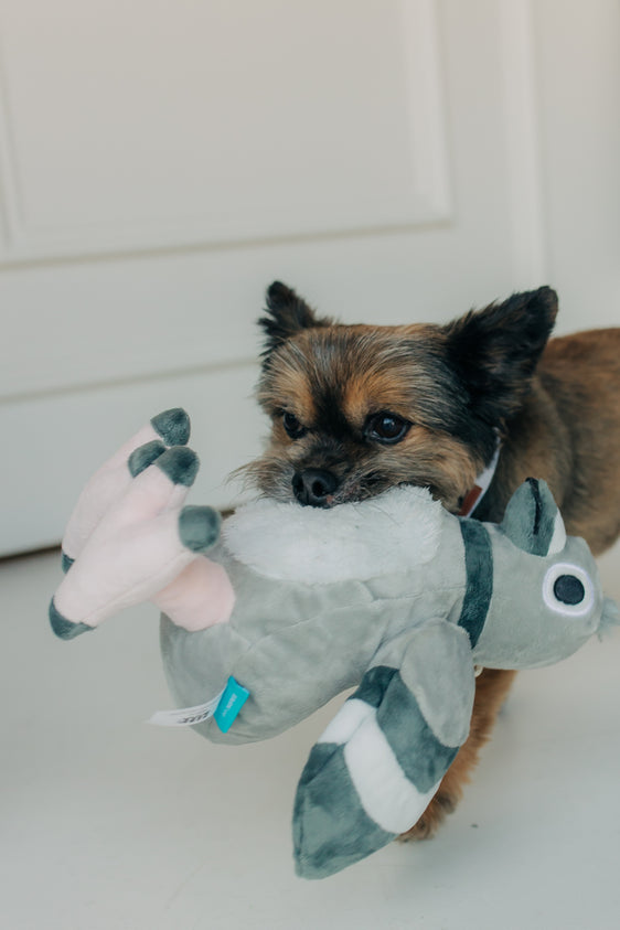 Flappin Flossie Plush Toy
