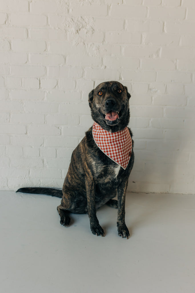Linen Bandana - Haven