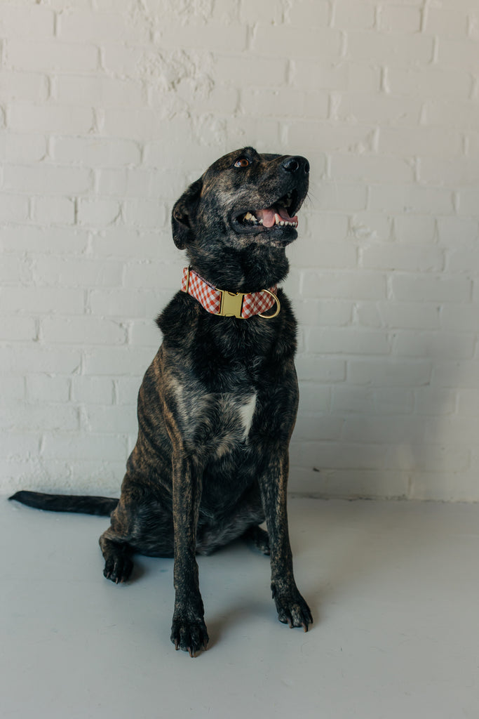 The Haven Linen Collar