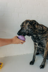 Pupsicle Treat Tray
