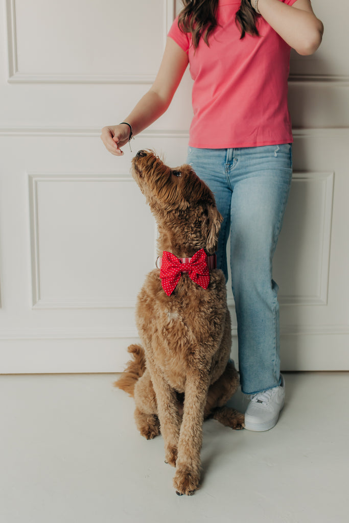 Red Polka Dot Lady Bow