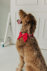 Red Polka Dot Lady Bow