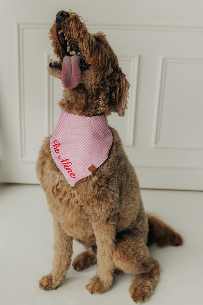 Be Mine Valentine's Day Bandana