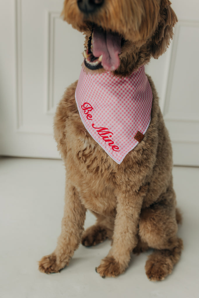 Be Mine Valentine's Day Bandana