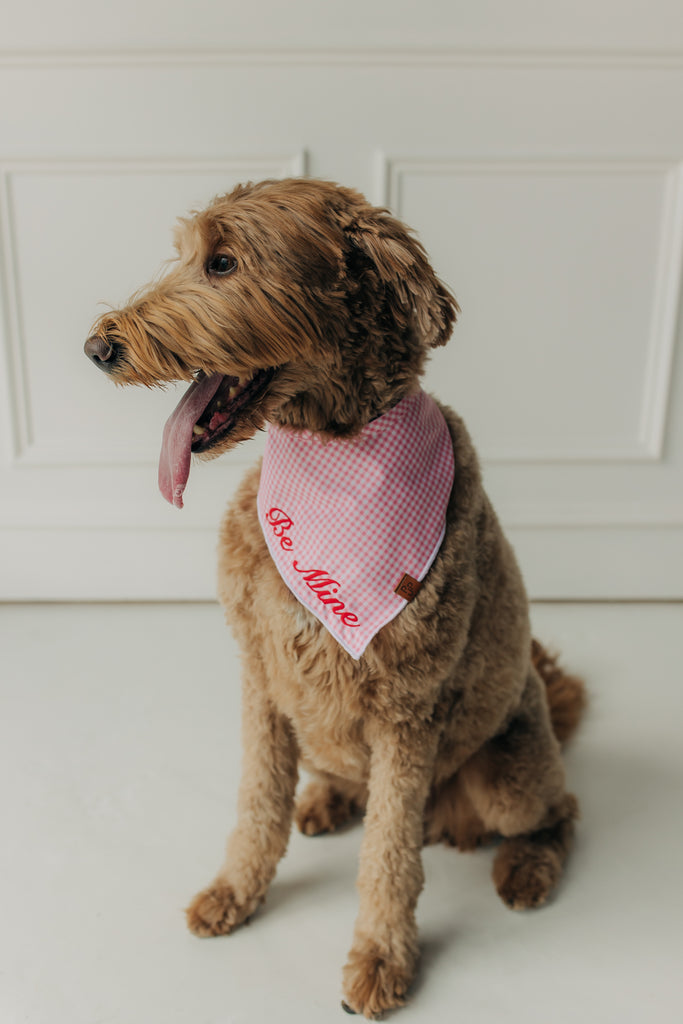 Be Mine Valentine's Day Bandana