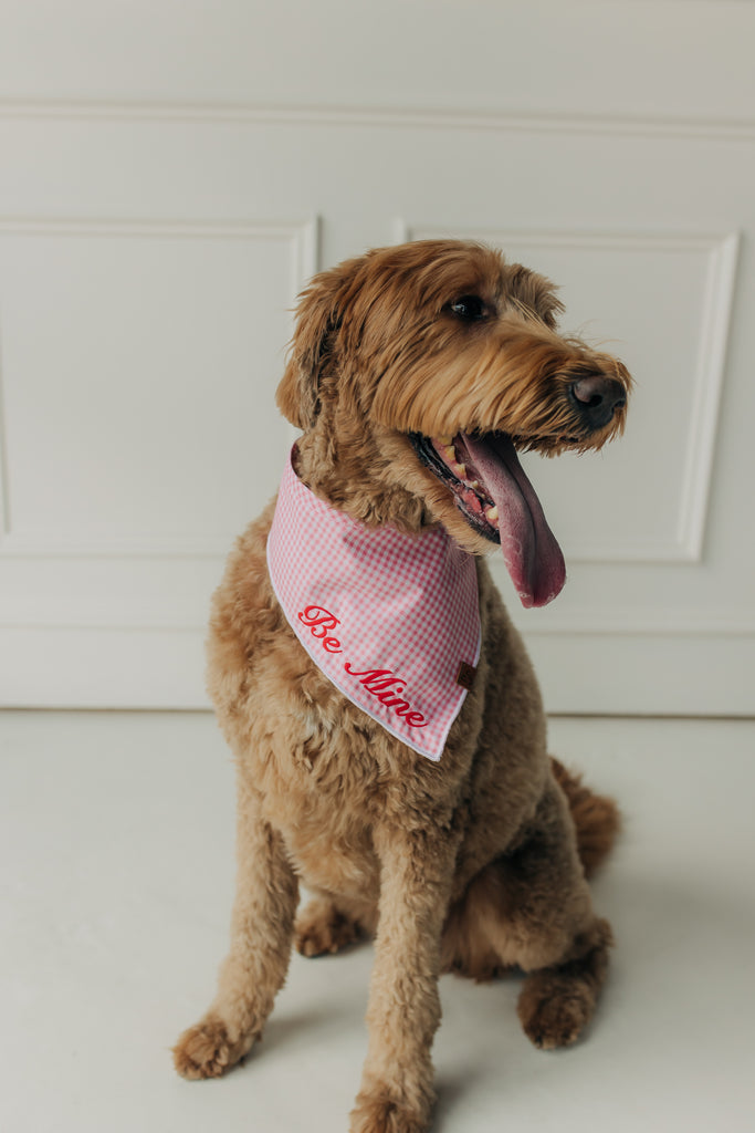 Be Mine Valentine's Day Bandana